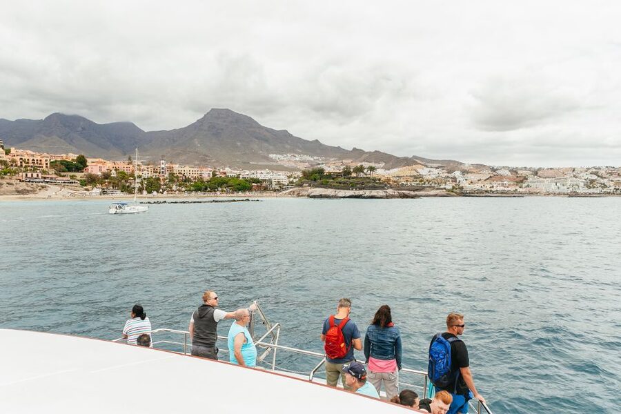 Costa Adeje: Whale & Dolphin Submarine Vision Mini Cruise - Seeing the Animals from the Underwater Windows