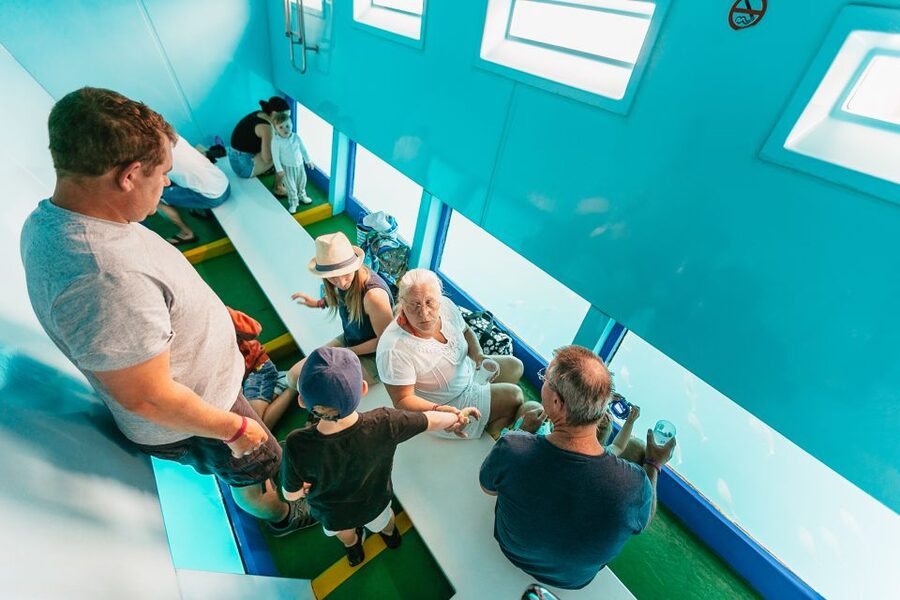 Costa Adeje: Whale & Dolphin Submarine Vision Mini Cruise - How Much Value Do You Get for $35?
