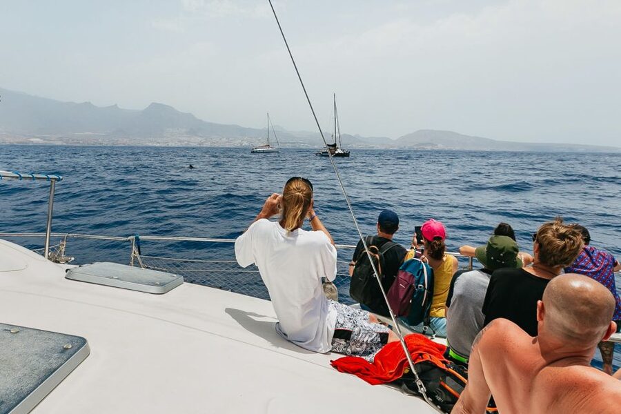 Costa Adeje: Whale Watching Catamaran Tour with Drinks - Price and overall value at $41