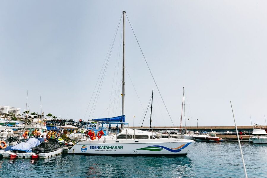 Costa Adeje: Whale Watching Catamaran Tour with Drinks - Choosing between two hours and three hours