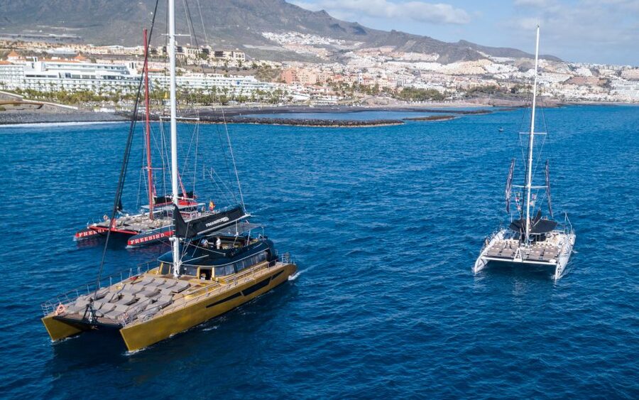 Costa Adeje: Whale Watching Cruise - Key points to know before sailing