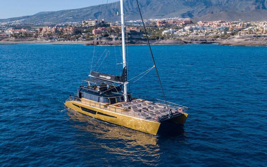 Costa Adeje: Whale Watching Cruise - Why this short Tenerife cruise works so well