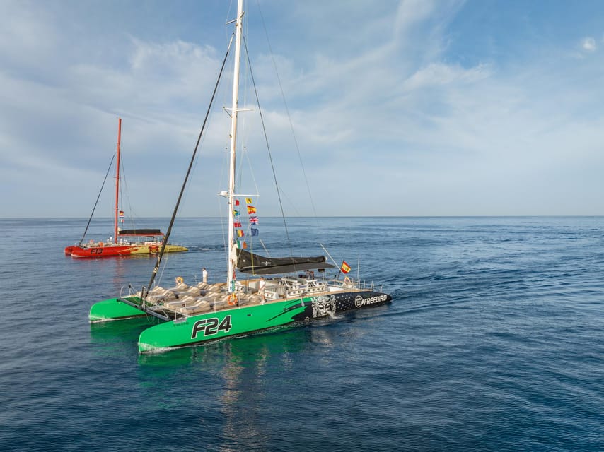 Costa Adeje: Whale Watching Cruise - Sailing south along Tenerife’s sunny coast