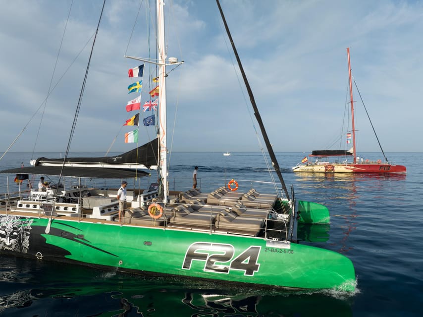 Costa Adeje: Whale Watching Cruise - The swim stop in a quiet coastal bay