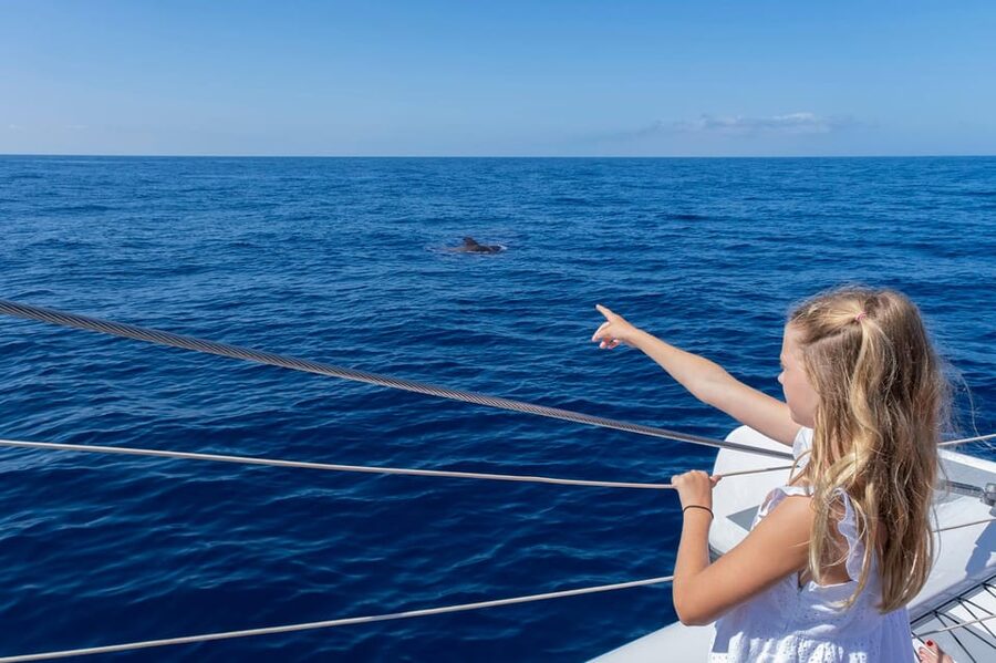 Costa Adeje: Whale Watching Cruise - Sun loungers, seating, and comfort
