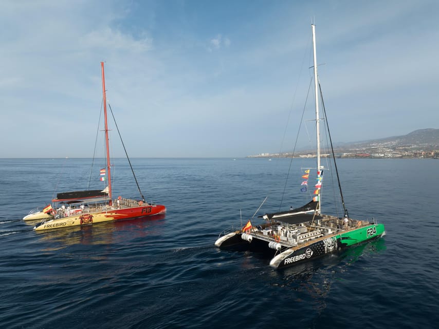 Costa Adeje: Whale Watching Cruise - Is $55 a fair price?