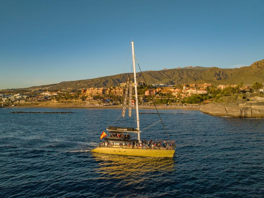 Costa Adeje: Whale Watching Cruise - Who should choose this three-hour sailing?