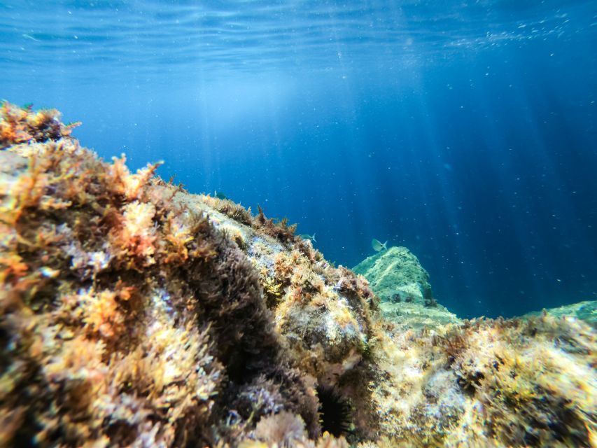 Costa Brava: Sea Caves Kayaking and Snorkeling Tour - Twenty minutes of snorkeling in clear Mediterranean water