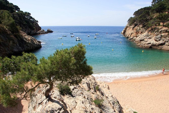Costa Brava Small Group with Hotel Pick up and Boat Ride - Lunch by the water, at your own cost