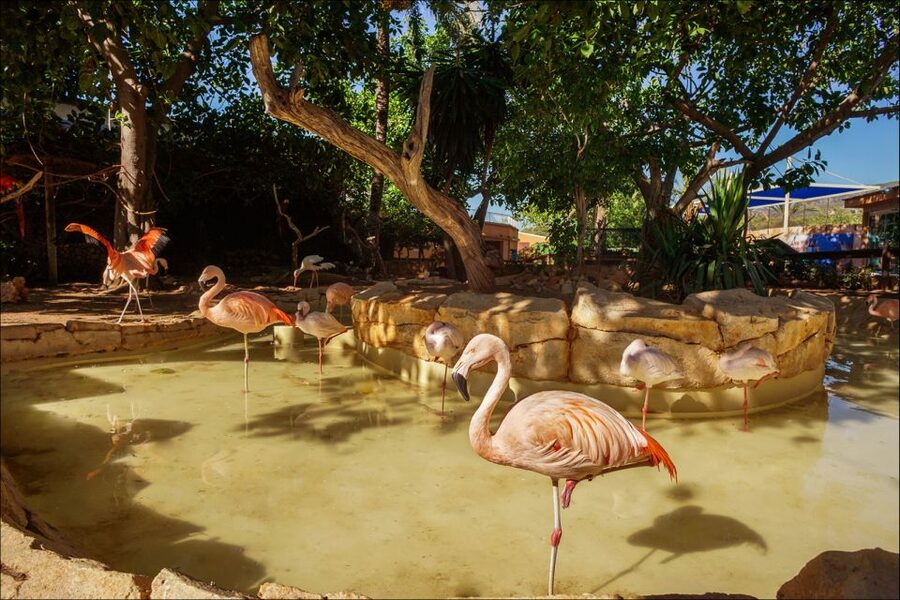 Costa d'en Blanes: Entry Ticket for Marineland Mallorca - What Marineland Mallorca is really like