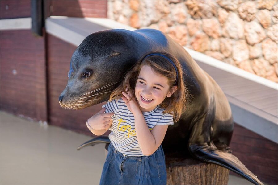 Costa d'en Blanes: Entry Ticket for Marineland Mallorca - A playground makes the visit easier with children