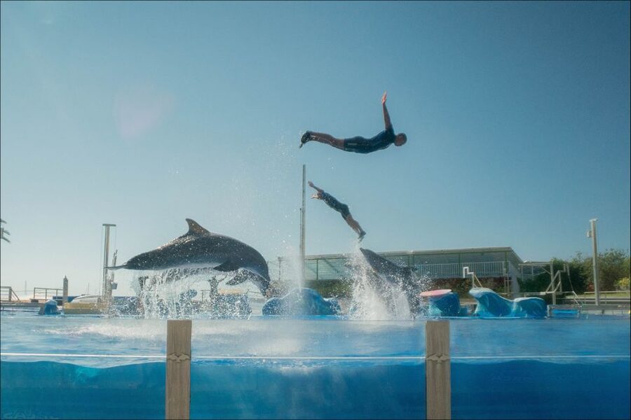 Costa d'en Blanes: Entry Ticket for Marineland Mallorca - Getting there from Costa den Blanes