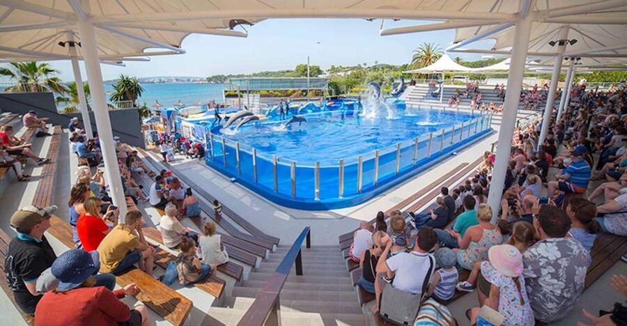 Costa d'en Blanes: Entry Ticket for Marineland Mallorca - Start with the dolphins, not the gift shop