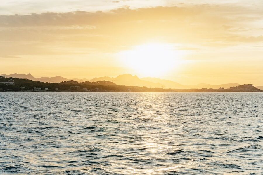Dénia: Daytime or Sunset Catamaran Cruise - Daytime sailing for a relaxed family outing