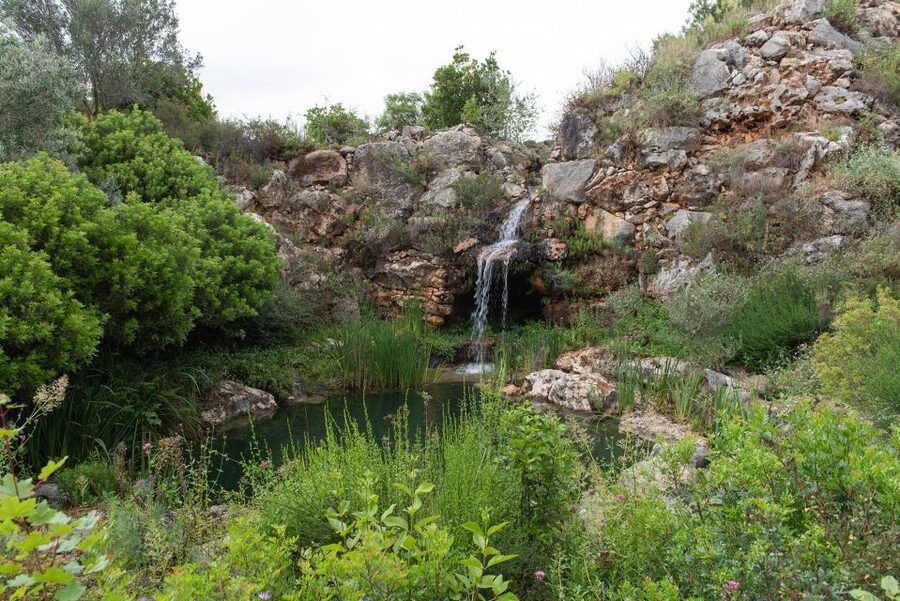 Denia: L'Albarda Garden Entry Ticket - Walking the pergolas, paths, and water features