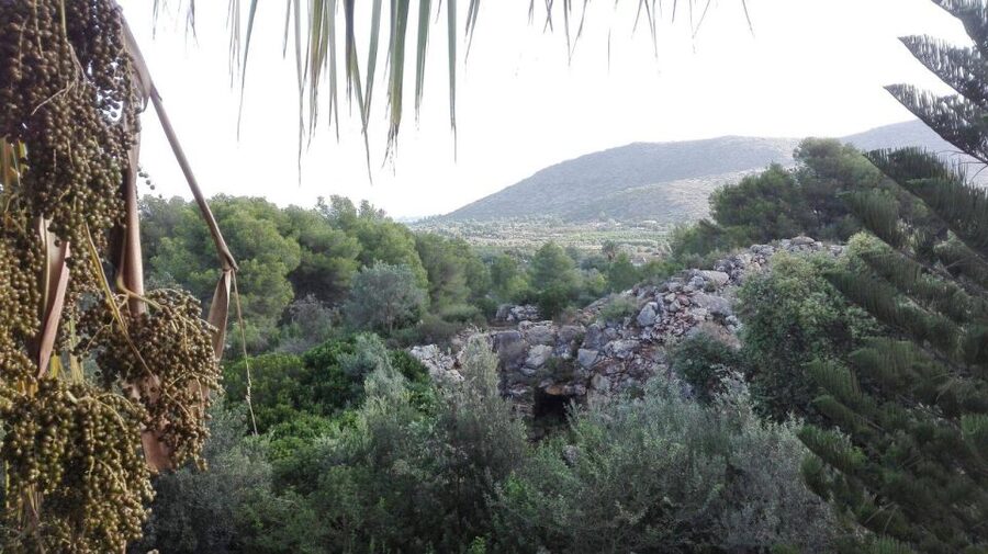 Denia: L'Albarda Garden Entry Ticket - The European and Arab character of the garden