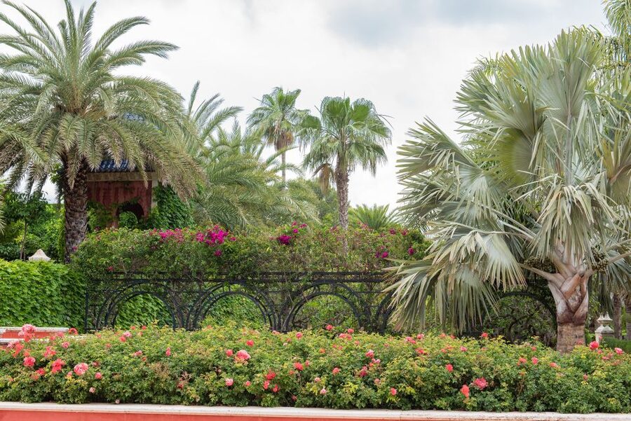 Denia: L'Albarda Garden Entry Ticket - Is $8 good value?