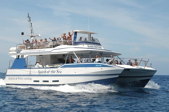 Dolphin and Whales watching cruise from Puerto Rico de Gran Canaria - What the Spirit of the Sea offers