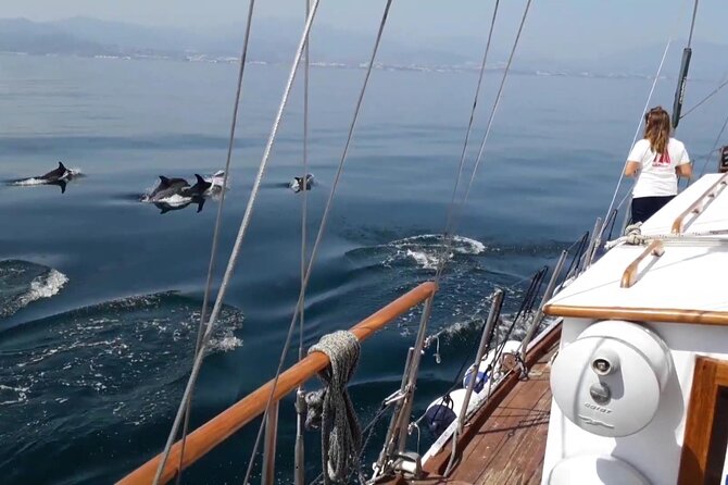 Dolphin Watching Adventure in Estepona Bay - Crew style and what to expect from the captain