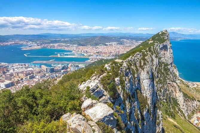 Dolphin Watching Excursion in Gibraltar - Key points before you book
