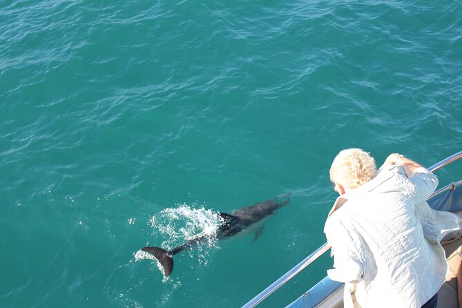Dolphin Watching in Gibraltar Dolphin Safari V.I.P - Leaving Marina Bay for the Strait