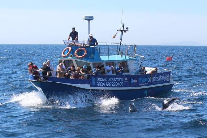 Dolphin Watching in Gibraltar Dolphin Safari V.I.P - Comfort, motion, and family suitability