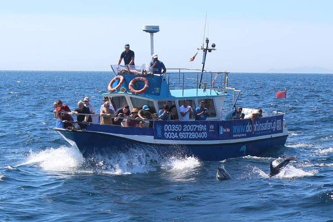Dolphin Watching in Gibraltar Dolphin Safari V.I.P - Timing, weather, and the cancellation rules