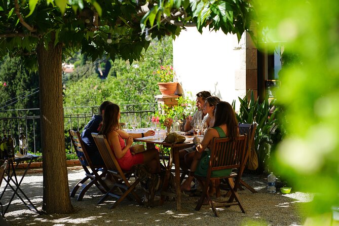 Ebike Tour, Winery, Wine Tasting & Sailing Experience(car option) - Why this Barcelona day trip works so well