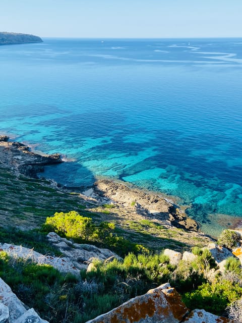 El Arenal: Private Mallorca Boat Rental (No License Needed) - Who will enjoy this most?