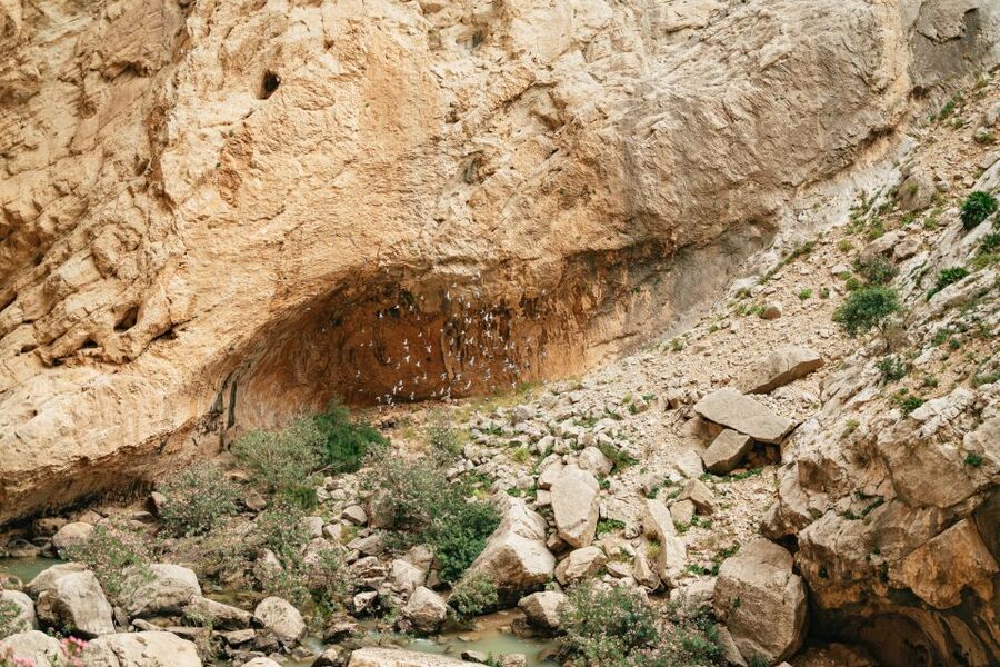 El Chorro: Caminito del Rey Guided Tour with Shuttle Bus - What the $44 price includes