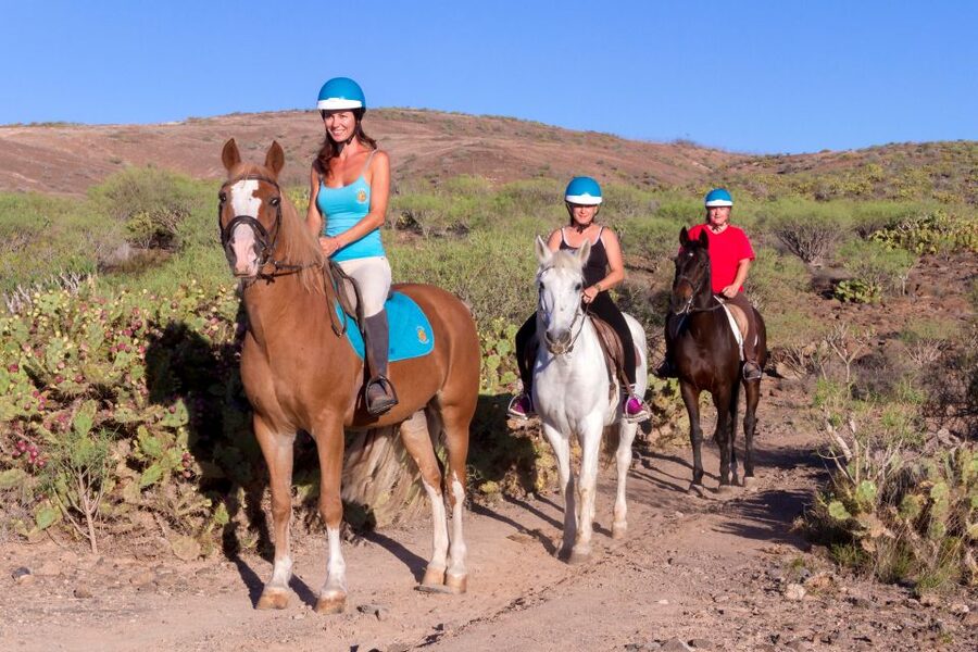 El Salobre: Horse Riding Adventure with Transfer Options - Key points to know before you book
