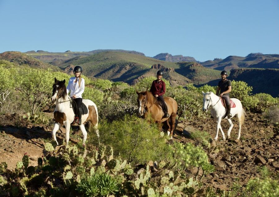 El Salobre: Horse Riding Adventure with Transfer Options - Starting at El Salobre Horse Riding Center