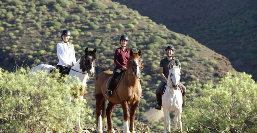 El Salobre: Horse Riding Adventure with Transfer Options - Looking Toward Maspalomas From the Ridge