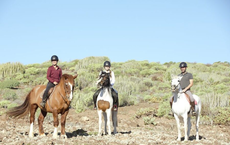 El Salobre: Horse Riding Adventure with Transfer Options - Guides Who Keep the Ride Calm