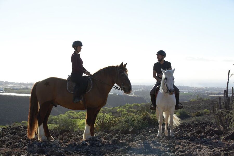 El Salobre: Horse Riding Adventure with Transfer Options - The Ranch Finish and Extra Animal Time