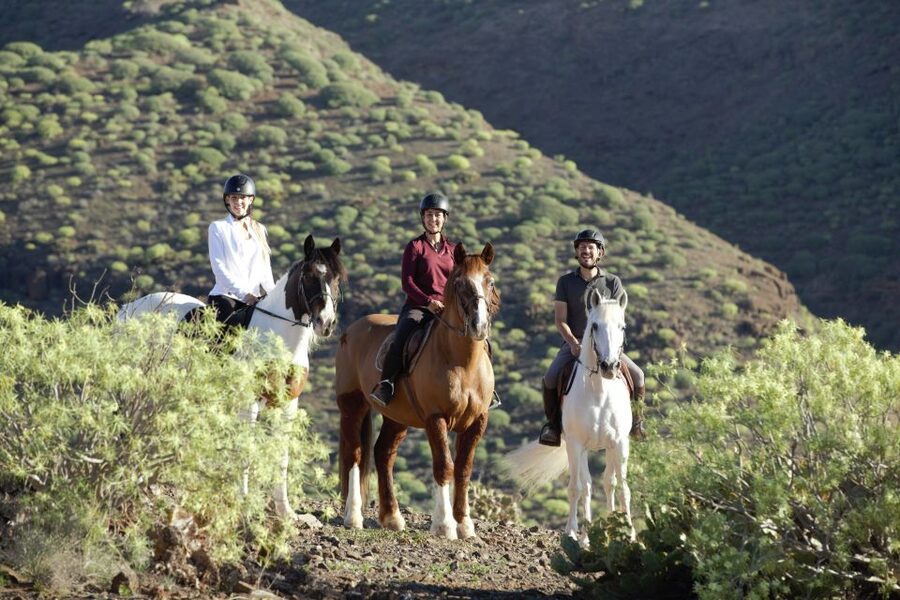 El Salobre: Horse Riding Adventure with Transfer Options - One or Two Hours Through Volcanic Country