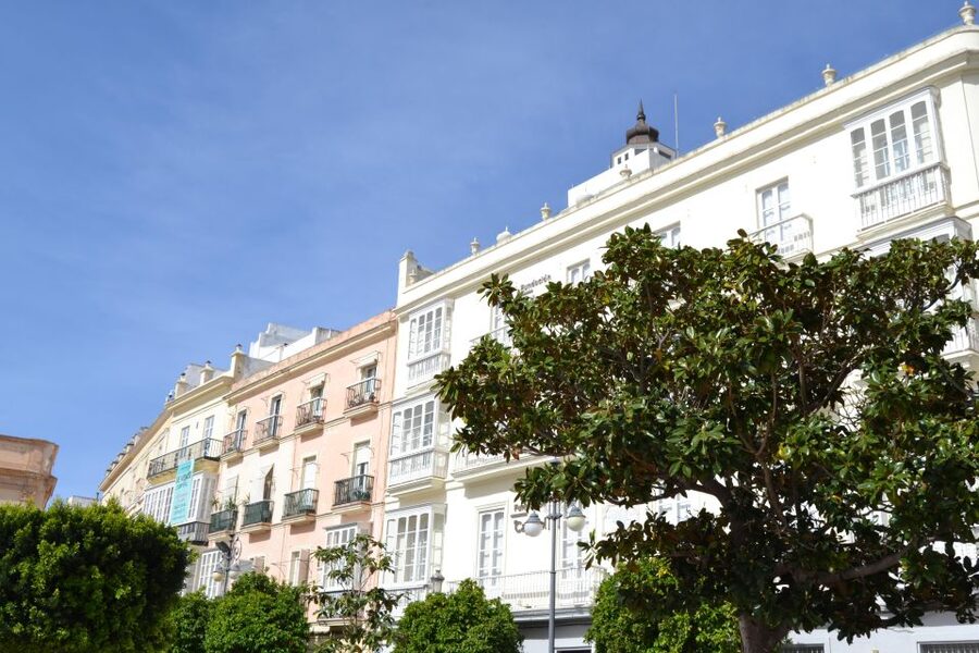 English Cádiz Tour: Walking Tour with Local Guide - The cathedral exterior and the limits of the tour