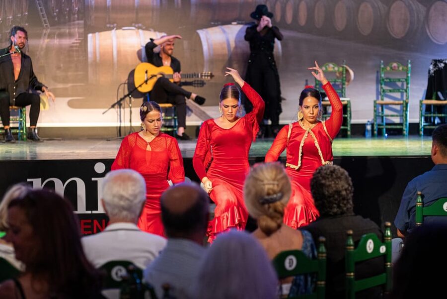 Estepona: Andalusian Flamenco Show Entry Ticket with Drink - Key points before you book