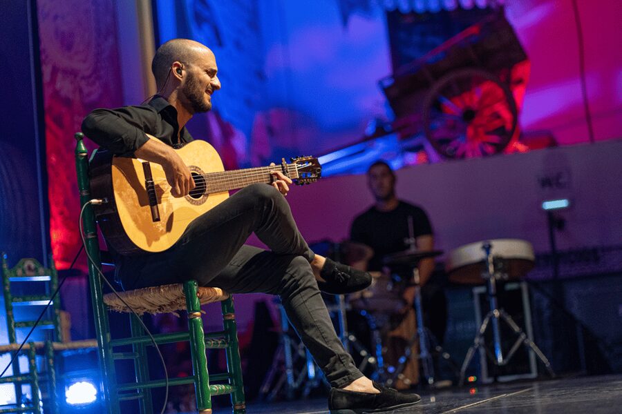 Estepona: Andalusian Flamenco Show Entry Ticket with Drink - Who will enjoy this most?