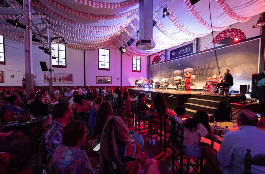 Estepona: Andalusian Flamenco Show Entry Ticket with Drink - Practical tips for a better night
