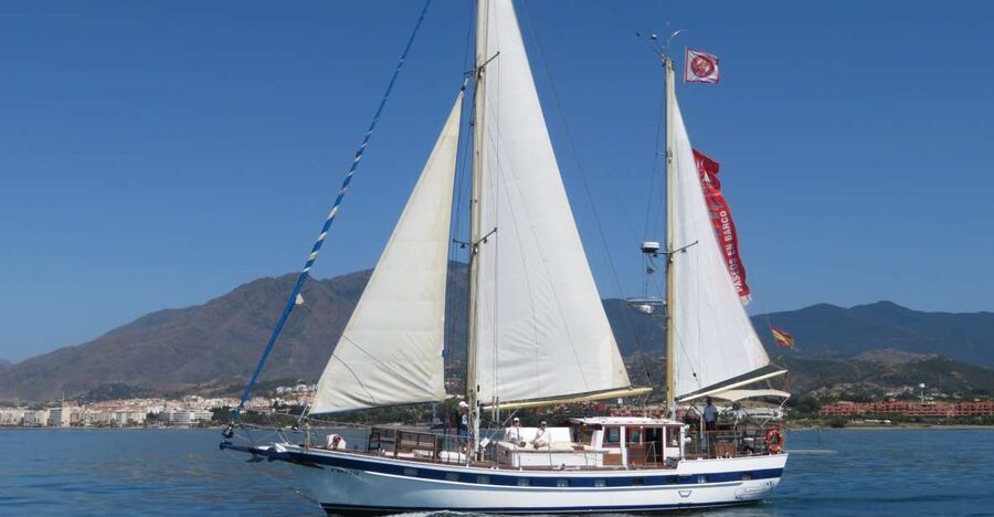 Estepona: Dolphin Watching Sailboat Cruise with Drink - The dolphin search in the bay