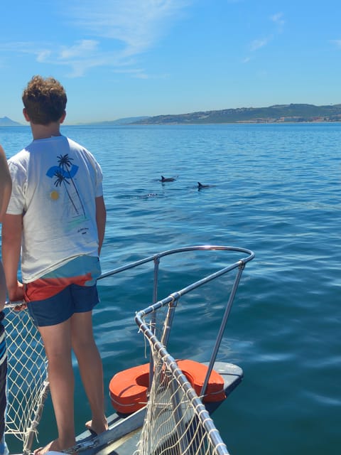 Estepona: Dolphins Searching Sea Cruise with Drink & Snacks - Drinks, Snacks, and What the $41 Price Buys