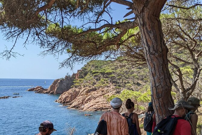 Explore Costa Brava & Tossa de Mar Coastal Trails, Snorkel & Meal - Lunch at a Local Restaurant