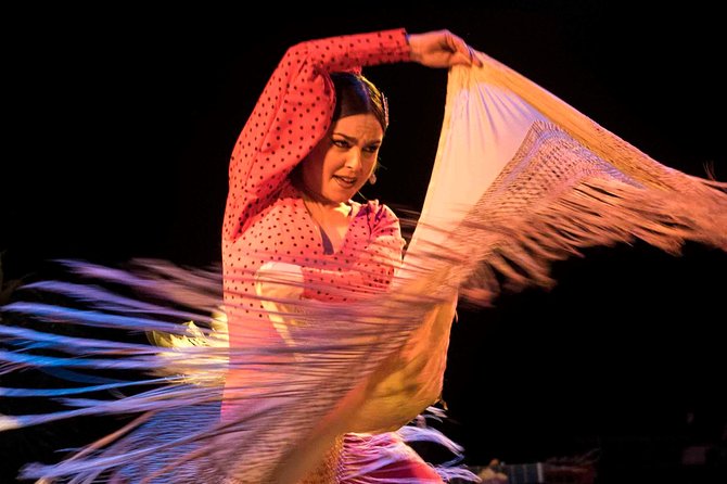 Flamenco Show Ticket at Theatre Barcelona City Hall - Who will enjoy this show most?
