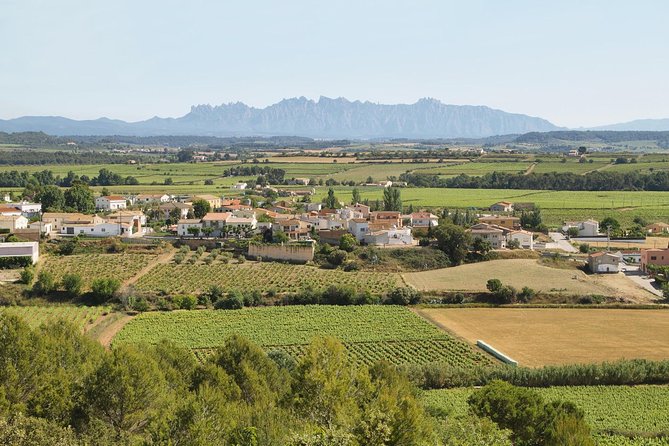 Food and Wine Small Group Tour from Barcelona - Maximum 8 people - Is $240.66 a fair price?