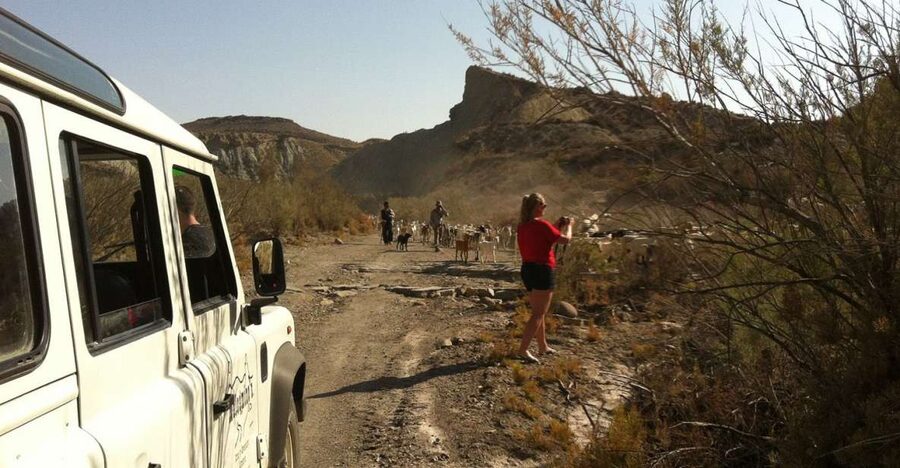 From Almeria: Tabernas Desert 4WD Joyriding Tour - Quick points before you book