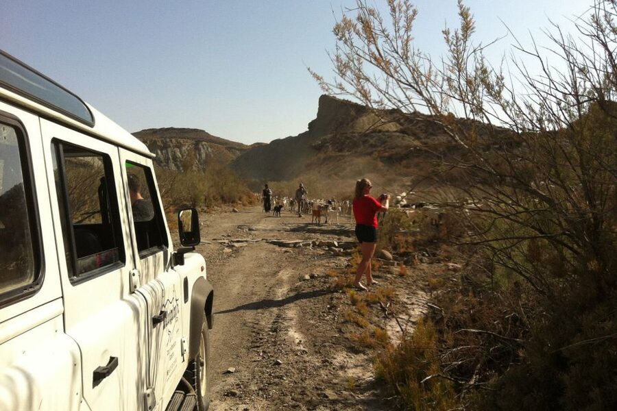 From Almeria: Tabernas Desert 4WD Joyriding Tour - Why Tabernas feels so different from the rest of Andalusia