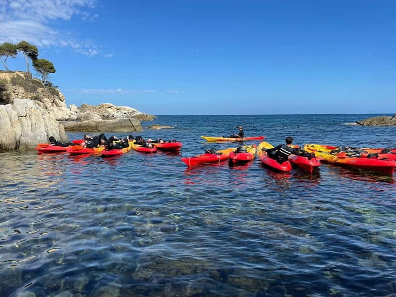 From Barcelona: Costa Brava Kayak & Snorkel Tour with Picnic - Guides, safety, and the group atmosphere