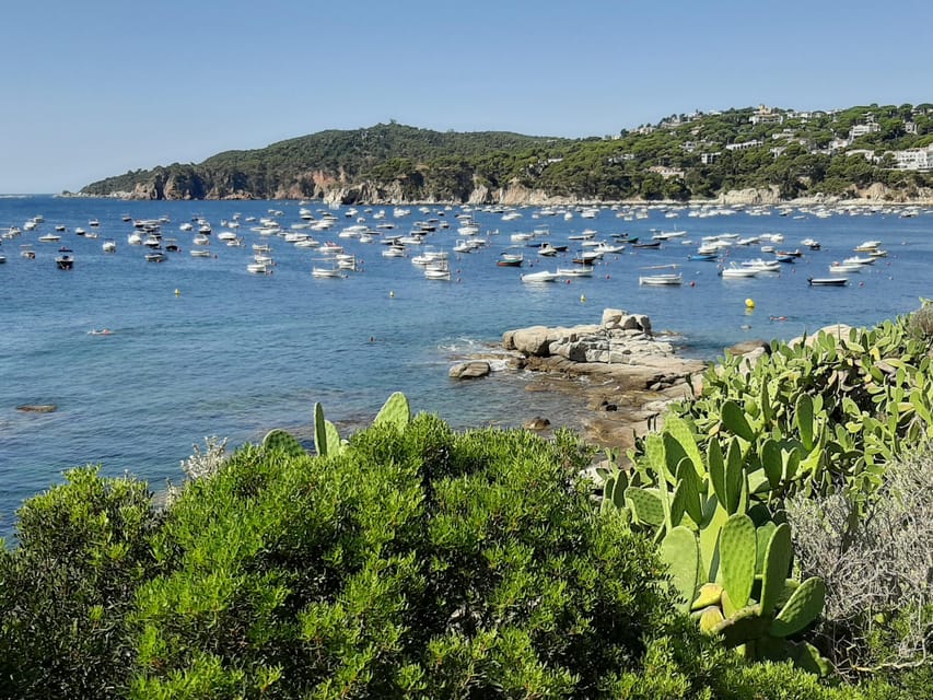 From Barcelona: Costa Brava Typical Towns full day tour - Llafranc: your two-hour chance to eat and swim