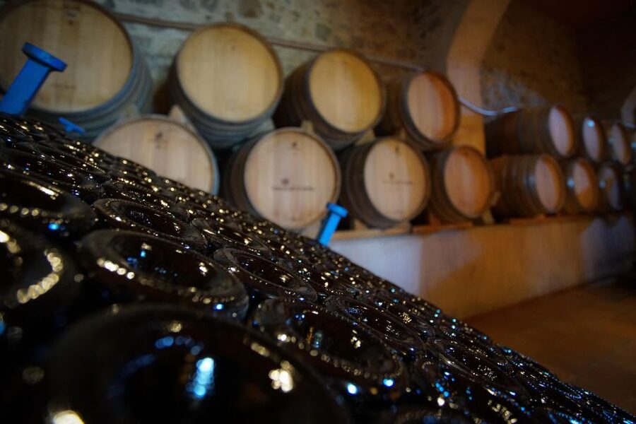 From Barcelona: E-Bike and Sailing Tour with Wine Tastings - Two hours sailing along the Barcelona coast